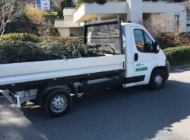 Orana-Gartenpflege-103