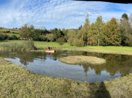 Orana-Gartenpflege-20