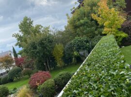 Orana-Gartenpflege-59